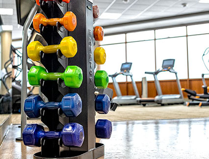 Fitness Center Weights